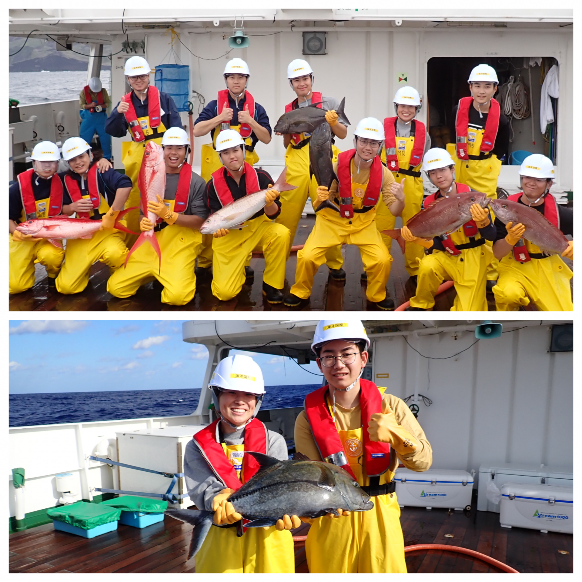 Blank 2 Grids Collage - 2025-11-28T093207.763